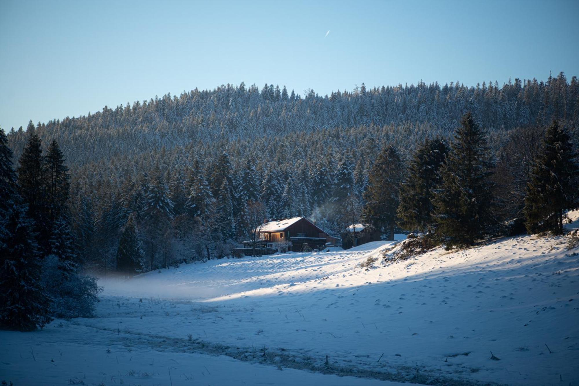 Gite La Ramee Ban-sur-Meurthe-Clefcy Exteriér fotografie