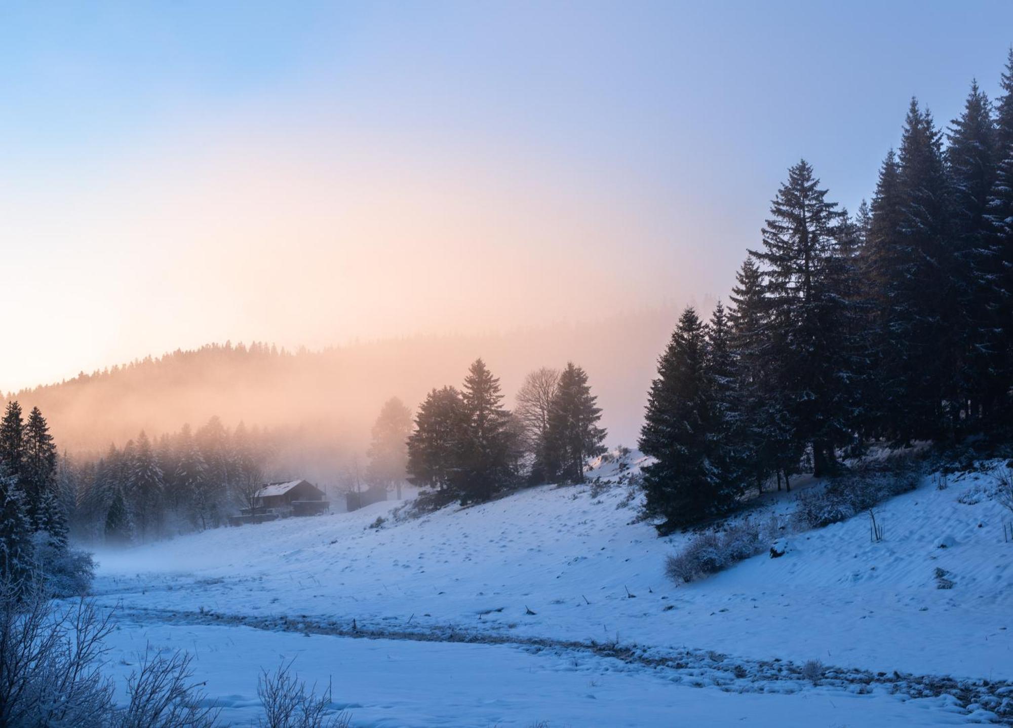 Gite La Ramee Ban-sur-Meurthe-Clefcy Exteriér fotografie