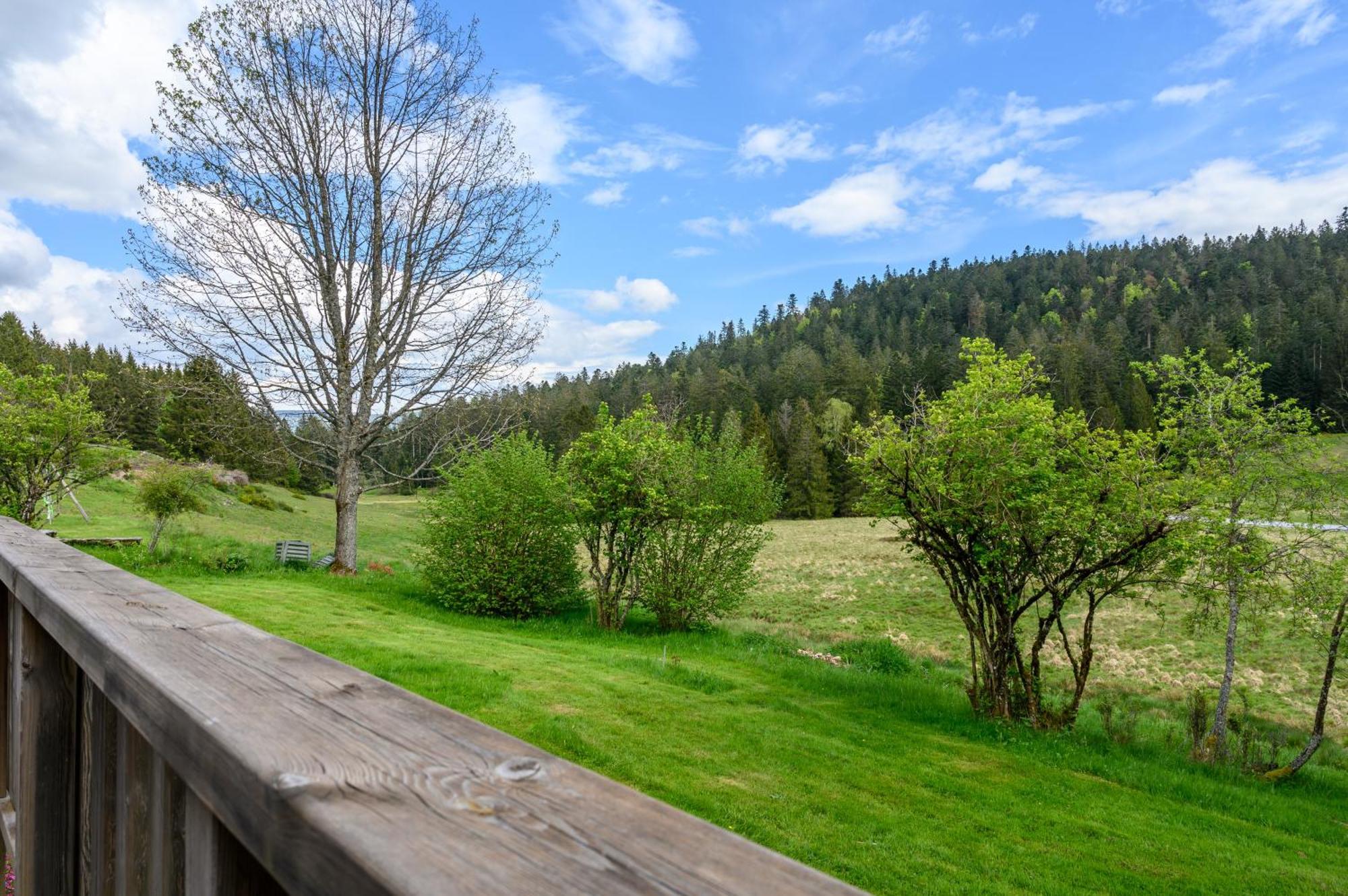 Gite La Ramee Ban-sur-Meurthe-Clefcy Exteriér fotografie